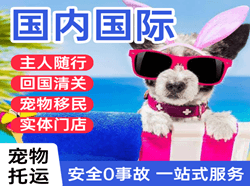敦煌莫高机场快递国际宠物托运 【国
